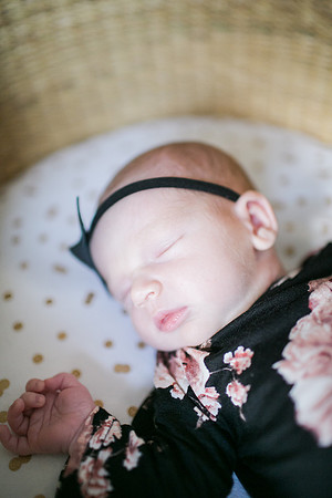 Stephens_Family_Newborn_2018-32