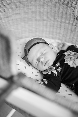 Stephens_Family_Newborn_2018-37