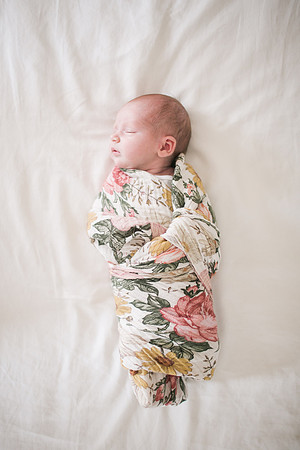 Stephens_Family_Newborn_2018-64