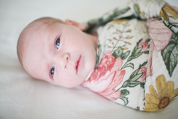 Stephens_Family_Newborn_2018-65