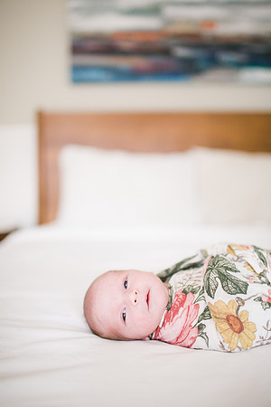 Stephens_Family_Newborn_2018-66