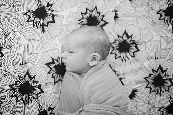Stephens_Family_Newborn_2018-97