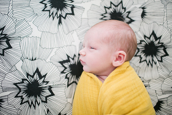 Stephens_Family_Newborn_2018-98