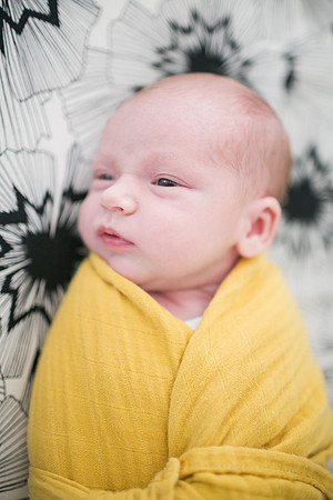 Stephens_Family_Newborn_2018-99