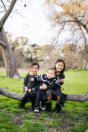 MODINO_FAMILY_2016-40