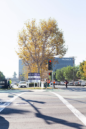 Polly_Adam_Civil_SantaAna_11.2024-71