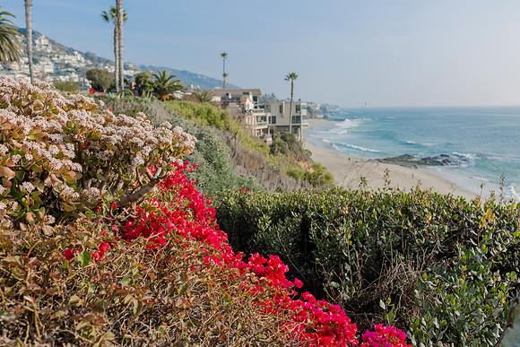 Lu_Family_LagunaBeachCa_2024-1