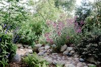 5.2020 Trapp Family Huntington Central Park