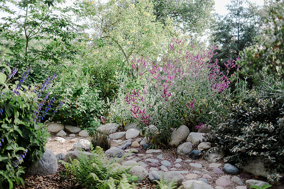Trapp_Family_HB_Central_Park_5.2020-1