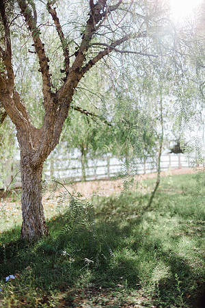 Arthur_Gretchen_Wedding_2020_Ceremony-5