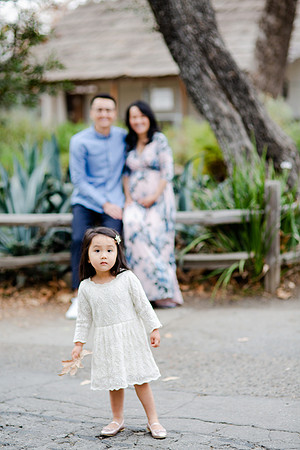 Ngo_Family_San_Juan_Capistrano_2020-40