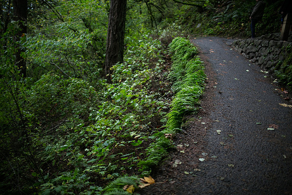 OREGON_SANDIEGO-38
