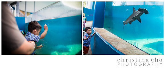 2013-06-07_0023