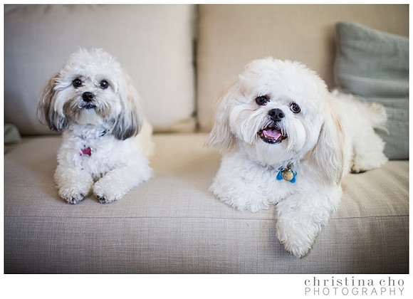 christinachophotography_familyphotographer_familyphotography_familysession_weddingphotographer_weddingphotography_0169