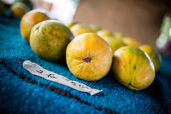 DOAN-HAWAII-2013-40