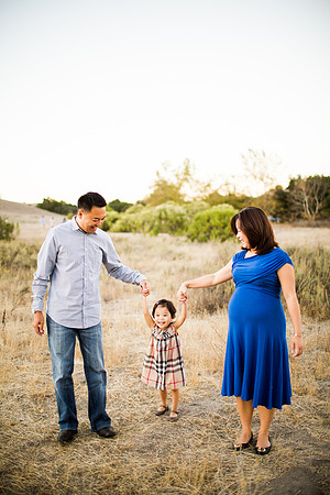 CHRISTINE_NGUYEN_FAMILY_2014-53