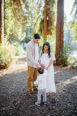 Denny_Redwoods_2022-3