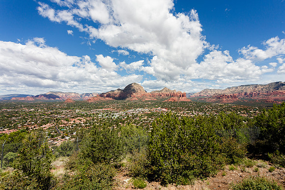 Knight_Arizona_2024-68