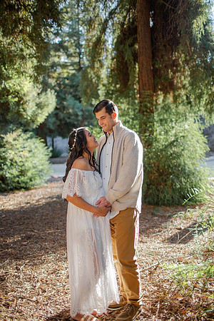 Denny_Redwoods_2022-24