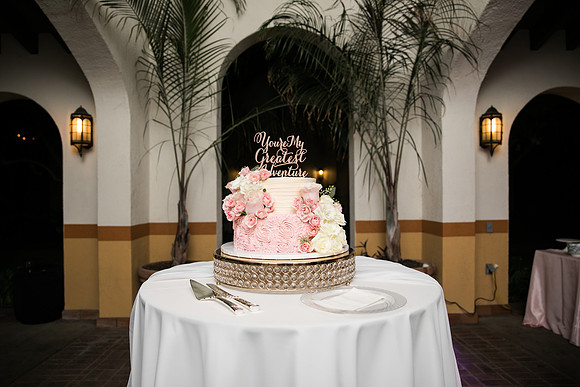 Lilly_Derek_Wedding_2018_Reception-15