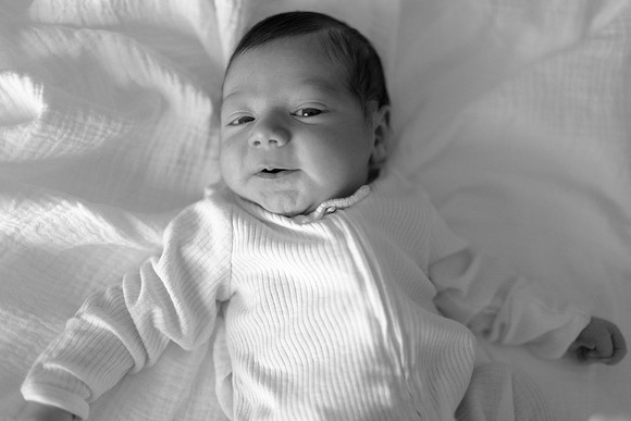 Levi_Newborn_Lakewood_11.2024-2611