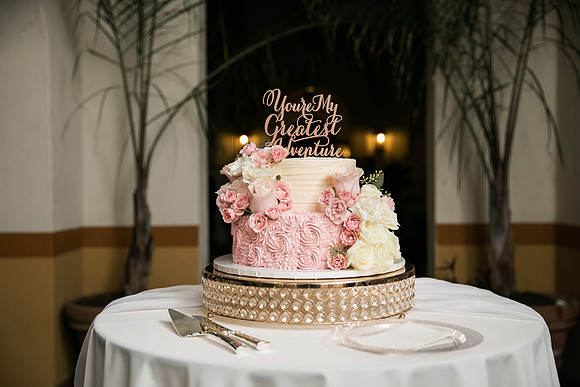 Lilly_Derek_Wedding_2018_Reception-14