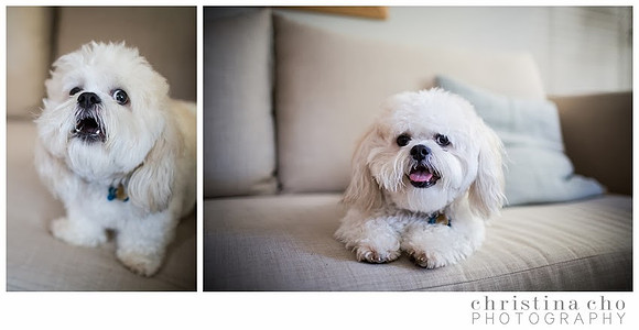 christinachophotography_familyphotographer_familyphotography_familysession_weddingphotographer_weddingphotography_0167