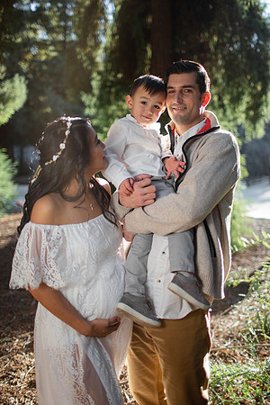 Denny_Redwoods_2022-14