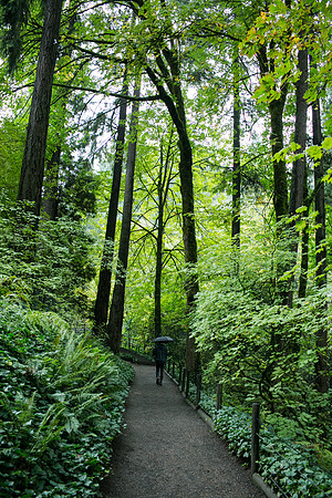 OREGON_SANDIEGO-50