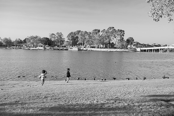 Basen_Woodbridge_2020-30