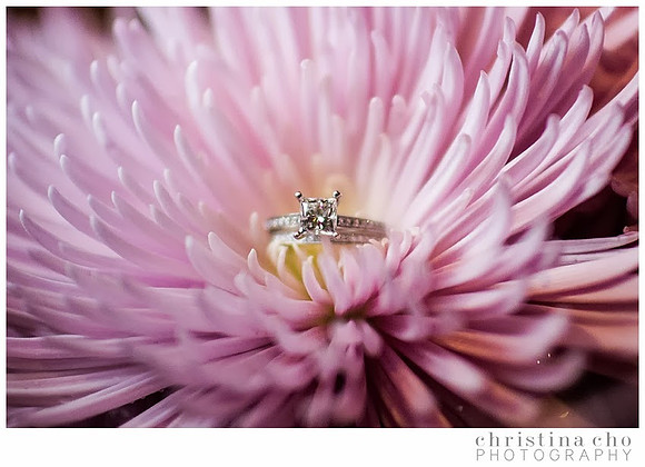 christinachophotography_familyphotographer_familyphotography_familysession_weddingphotographer_weddingphotography_0074