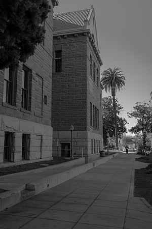Polly_Adam_Civil_SantaAna_11.2024-385