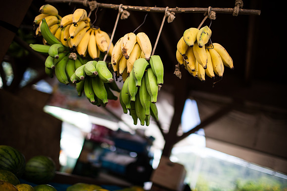 DOAN-HAWAII-2013-42