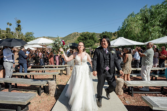 Gabe_Ali_Wedding_Reptacular_6.22.24-321