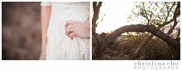 christinachophotography_familyphotographer_familyphotography_familysession_weddingphotographer_weddingphotography_0128